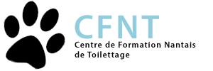 CFNT